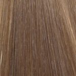 Citihair-Extensions-Color-Chart-8 Citihair-Extensions-Color-Chart-8